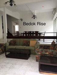 Bedok Ria Crescent (D16), Semi-Detached #473940951
